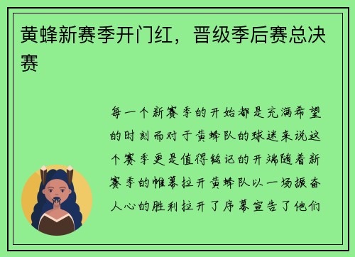 黄蜂新赛季开门红，晋级季后赛总决赛